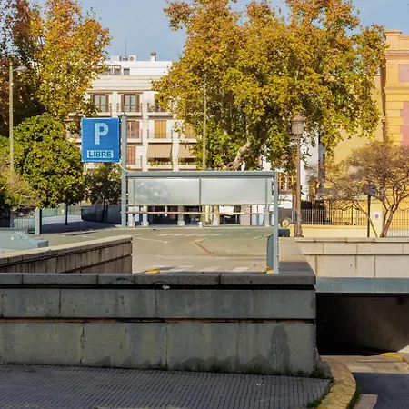 Duque Center Premium